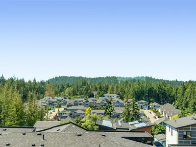 View 21