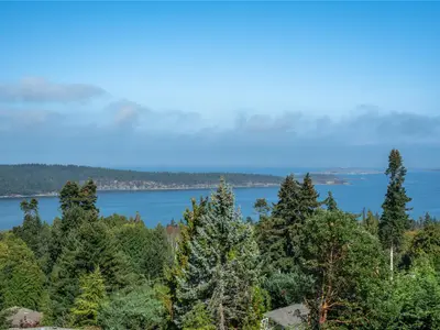 View 53
