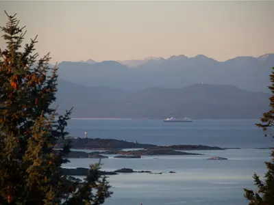 View 84