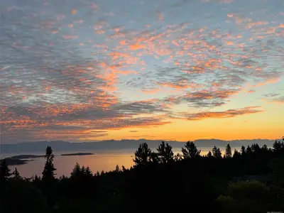 View 1