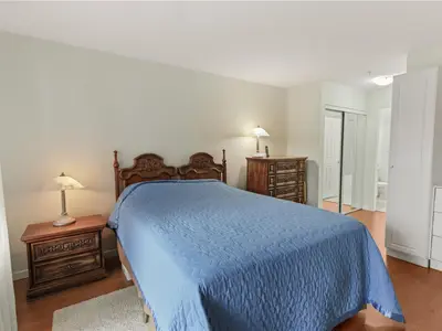 View 24