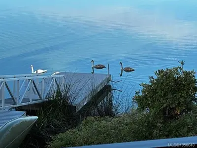View 64