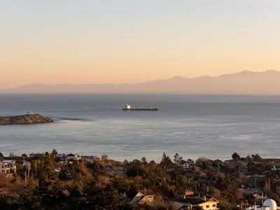 View 52