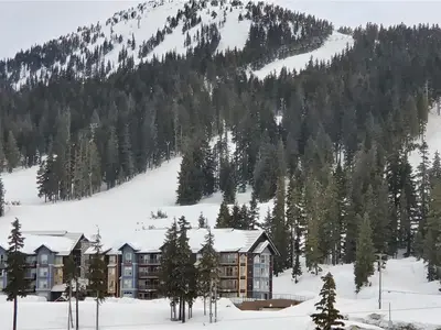 View 33