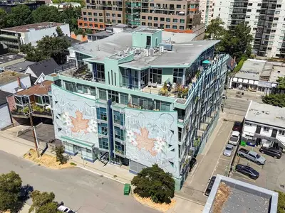 View 24