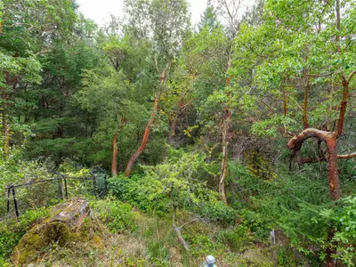 View 15