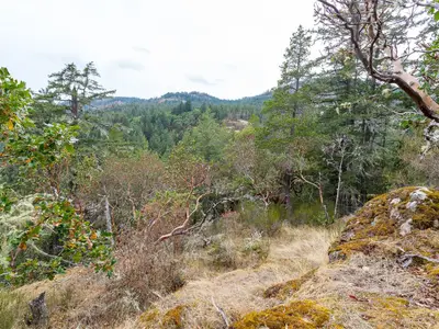 View 25