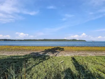 View 43
