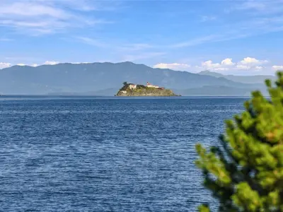 View 39