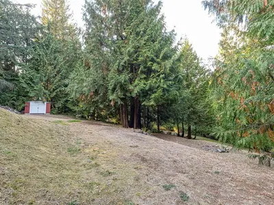 View 50