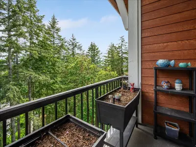 View 18