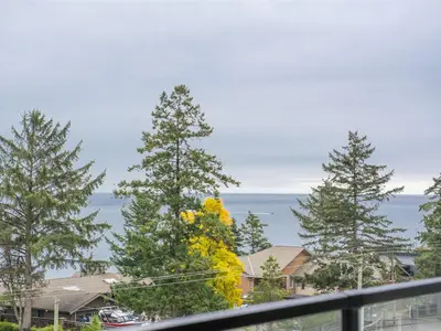 View 30