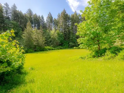 View 45