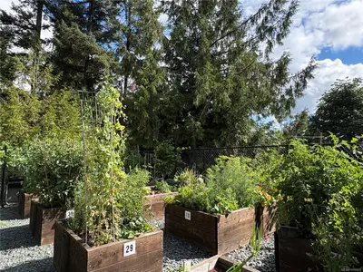 View 59
