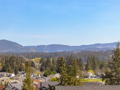 View 44