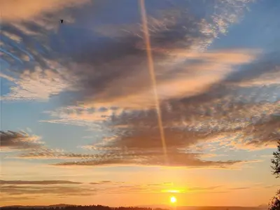 View 90