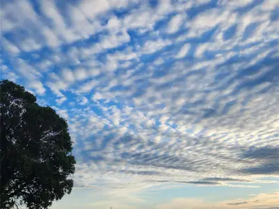 View 89