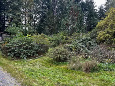 View 24