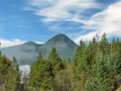 View 25