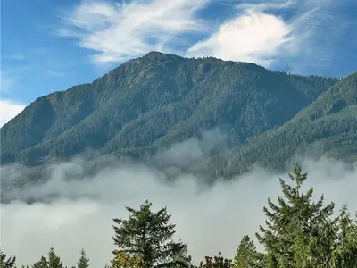 View 27