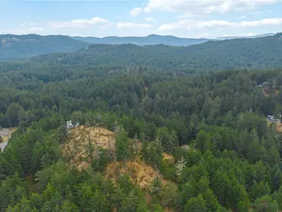 View 53