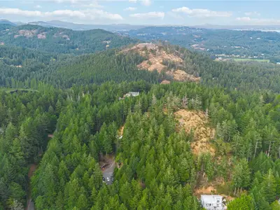 View 54
