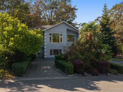 View 41