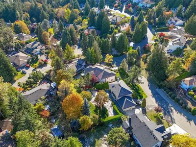 View 45