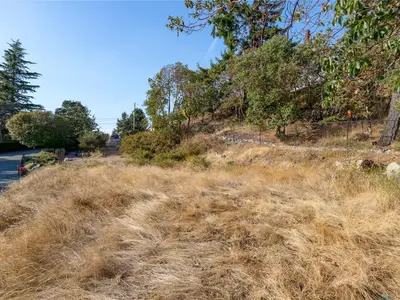 View 66