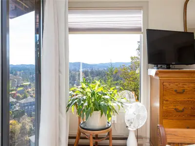 View 29
