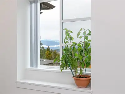 View 23