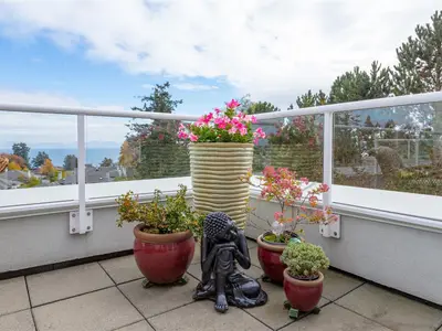 View 40