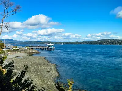 View 58