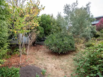 View 27