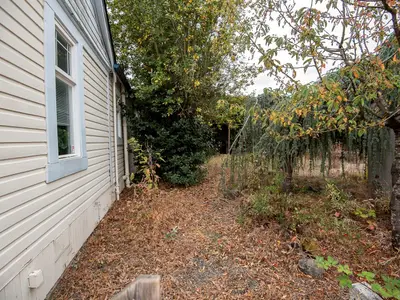 View 32