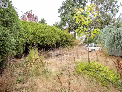 View 34
