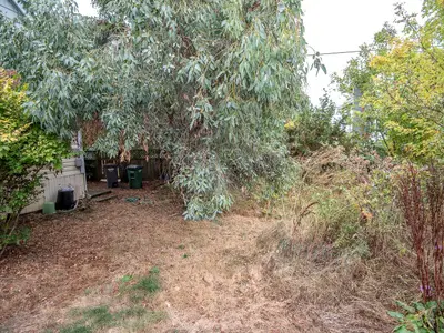 View 31