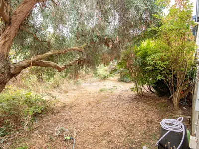 View 25