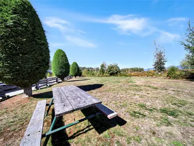 View 37