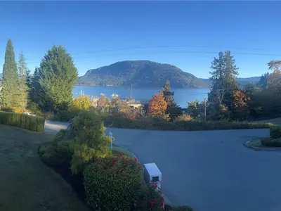 View 43