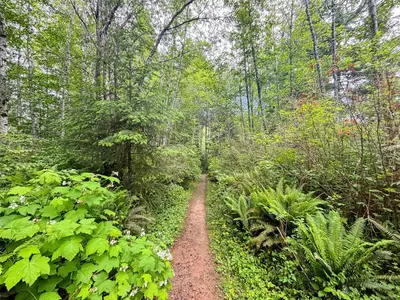 View 38