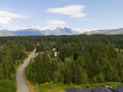 View 41