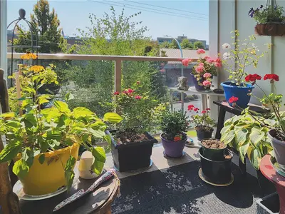 View 9