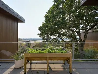 View 36