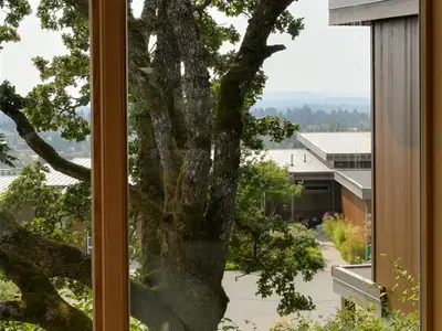 View 40