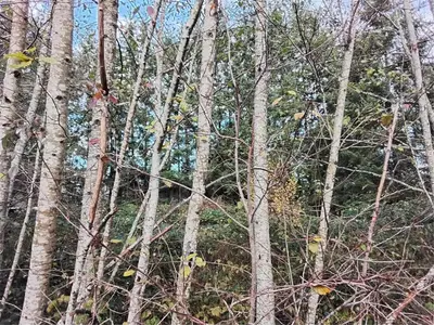 View 4