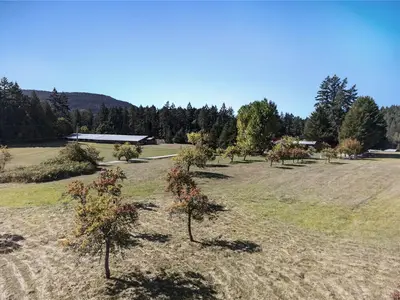 View 63