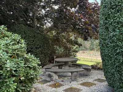 View 45