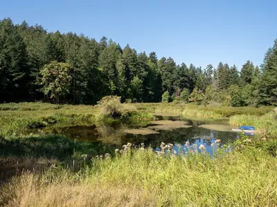 View 25