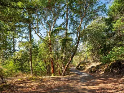 View 34